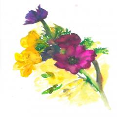 images/flowers/SKMBT_C22015033113480.jpg